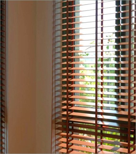 Venetian Blind 1