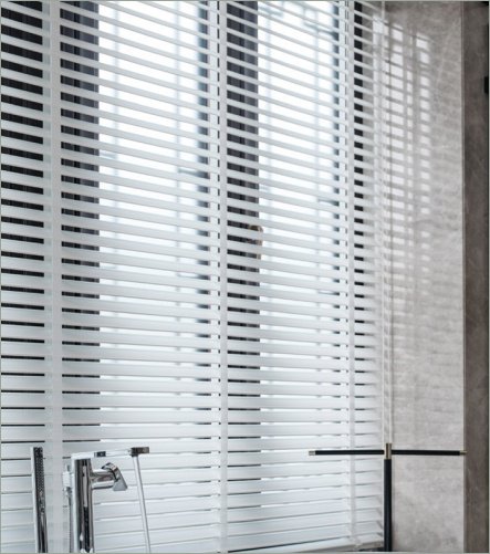 Venetian Blind 1