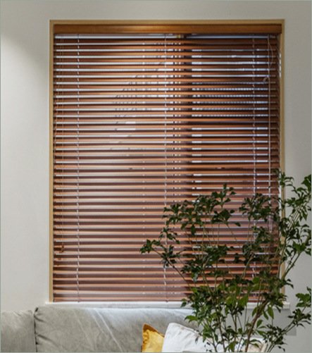 Venetian Blind 1