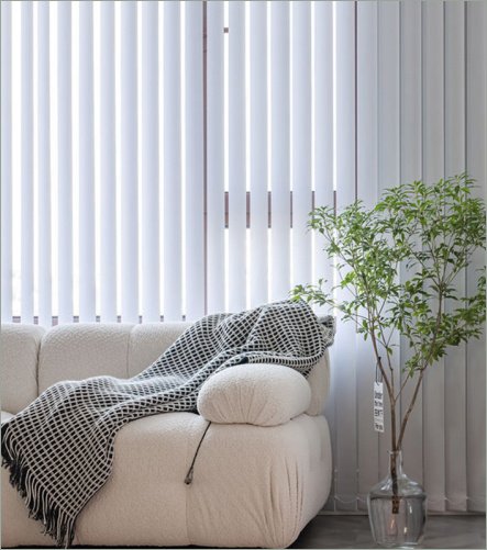 Vertical Blind 2